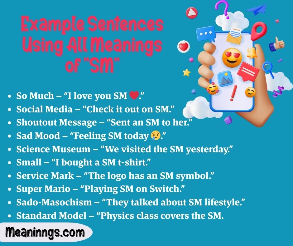 Example Sentences Using All Meanings of "SM"