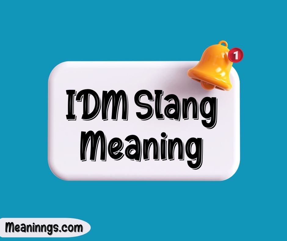 IDM Slang Meaning
