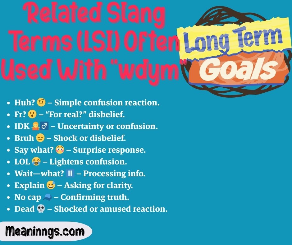 Related Slang Terms (LSI) Often Used With "wdym"