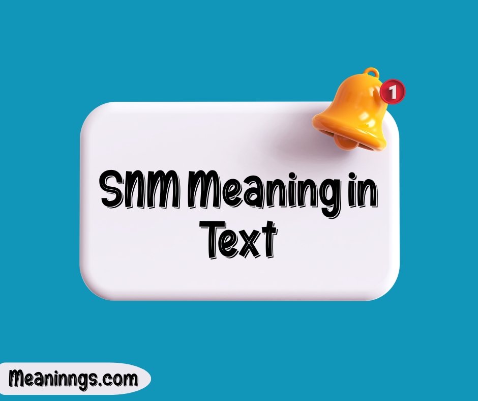 SNM Meaning in Text