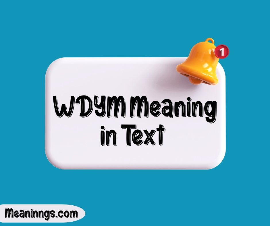 WDYM Meaning in Text