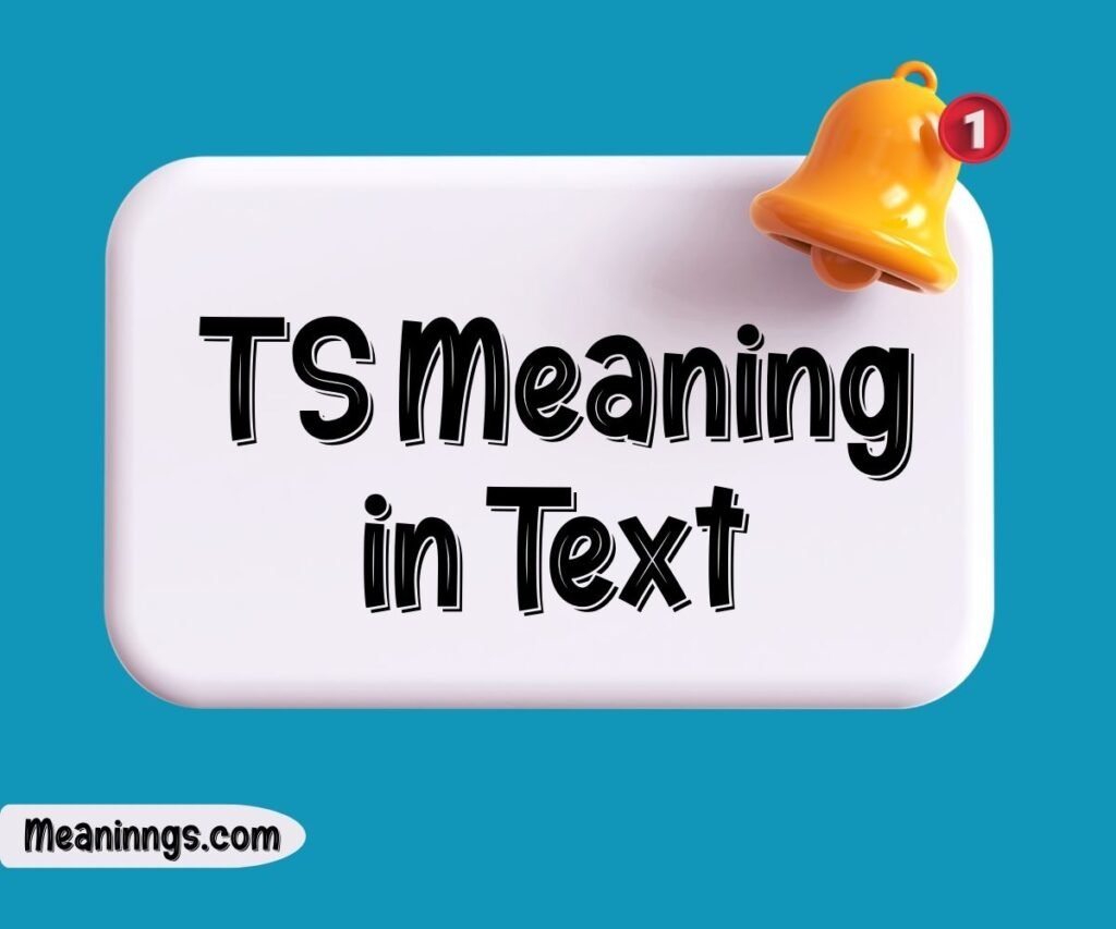 TS Meaning in Text