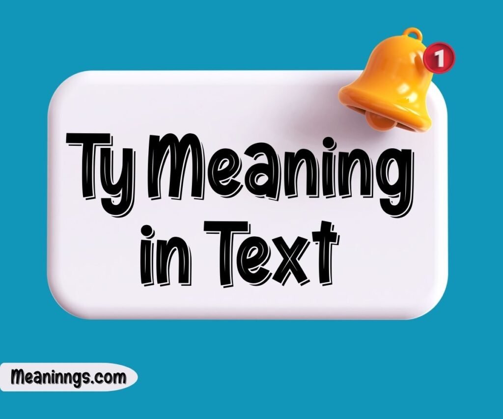 Ty Meaning in Text