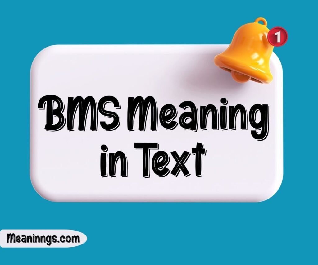 BMS Meaning in Text