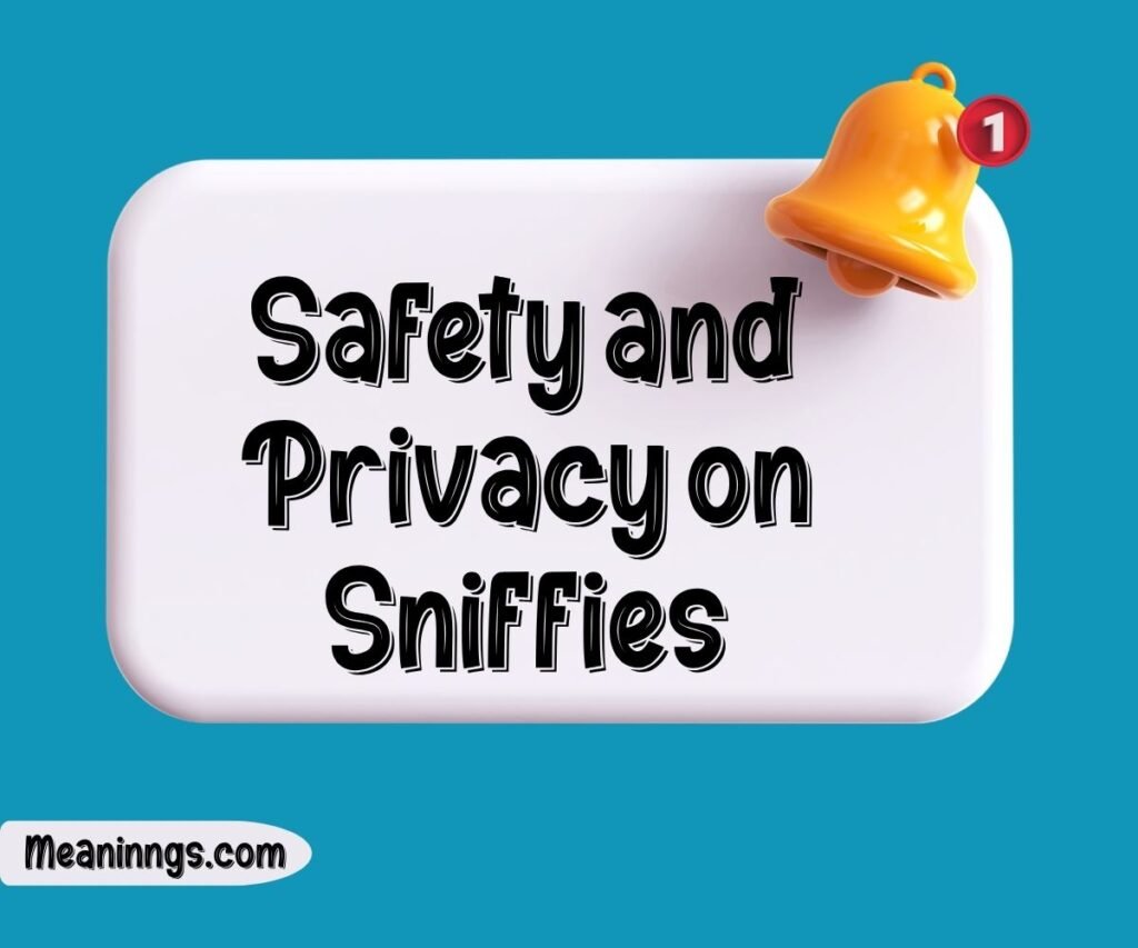 Safety and Privacy on Sniffies
